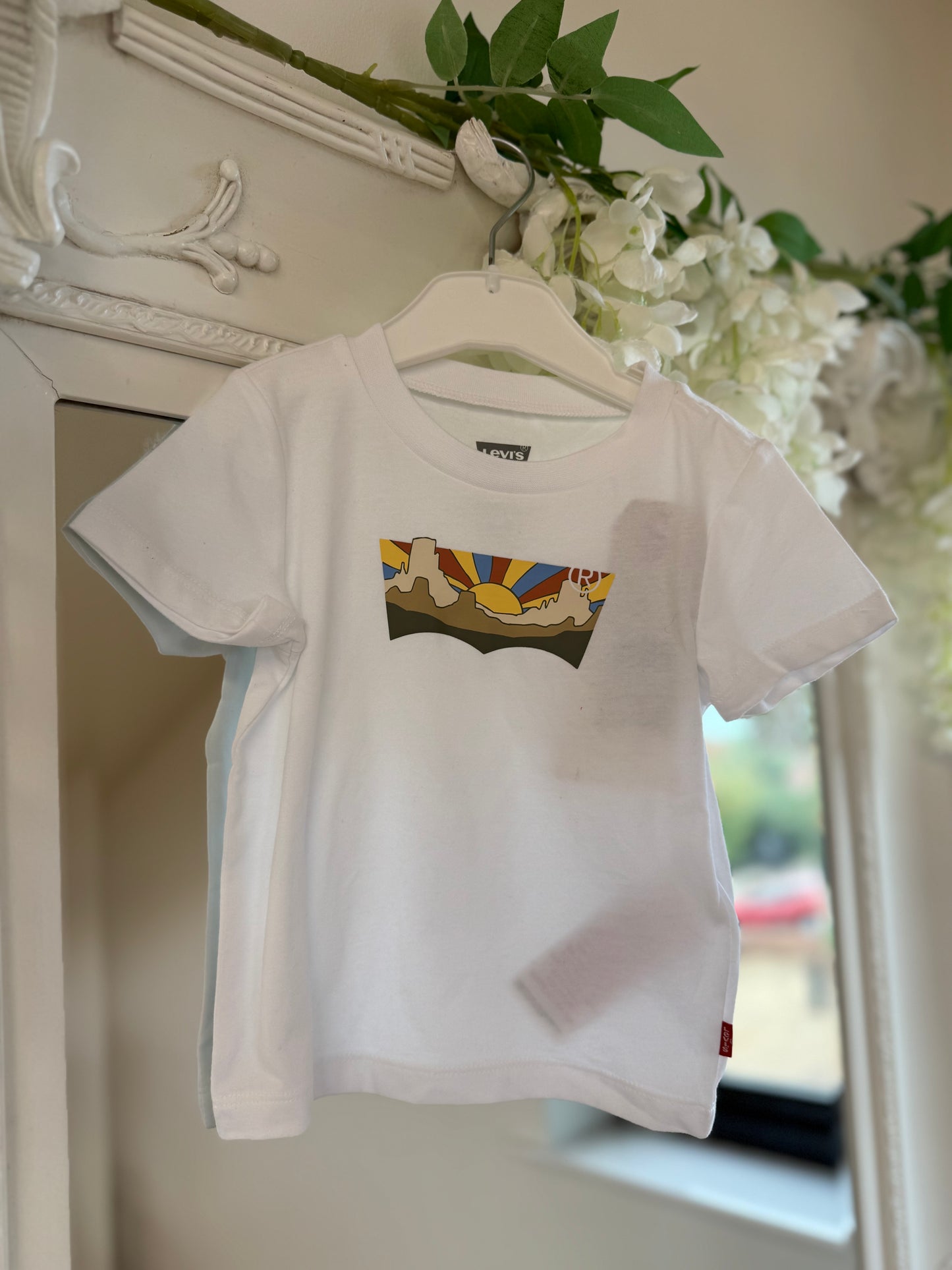Levi's Canyon Batwing Tee