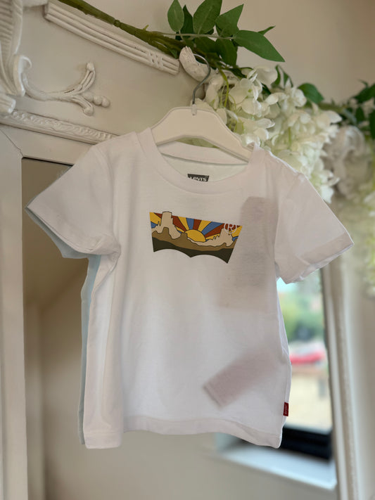 Levi's Canyon Batwing Tee